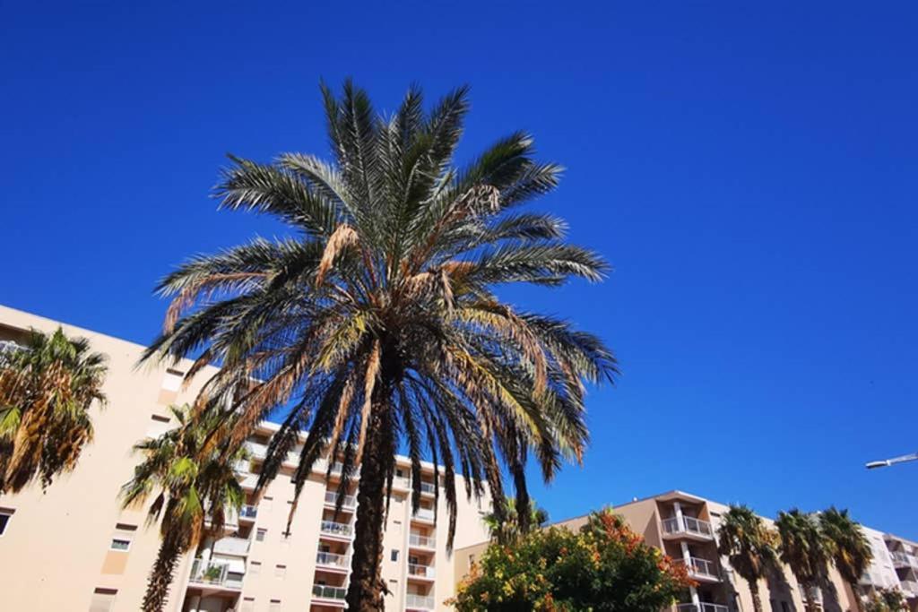 Appartement Premium, Proche Faculte & Centre Ville Ideal Digital Nomad ペルピニャン エクステリア 写真