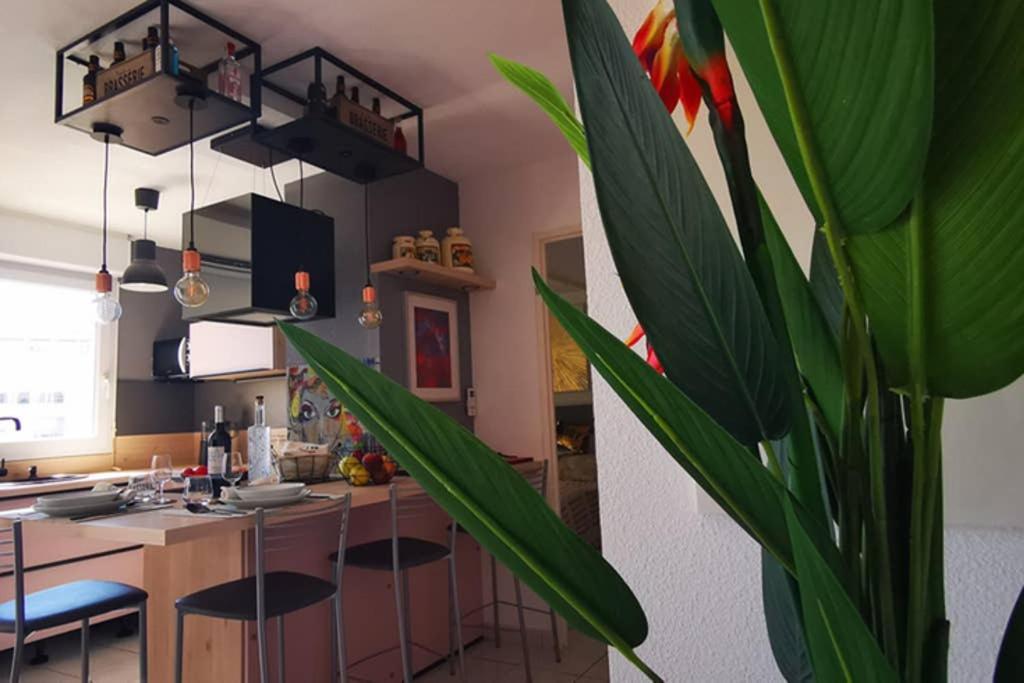 Appartement Premium, Proche Faculte & Centre Ville Ideal Digital Nomad ペルピニャン エクステリア 写真